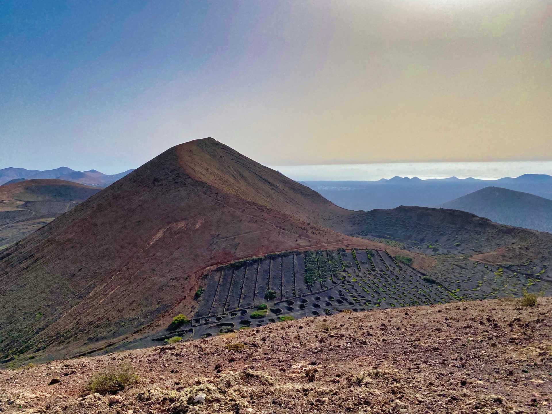Volcanic cone with vineyards